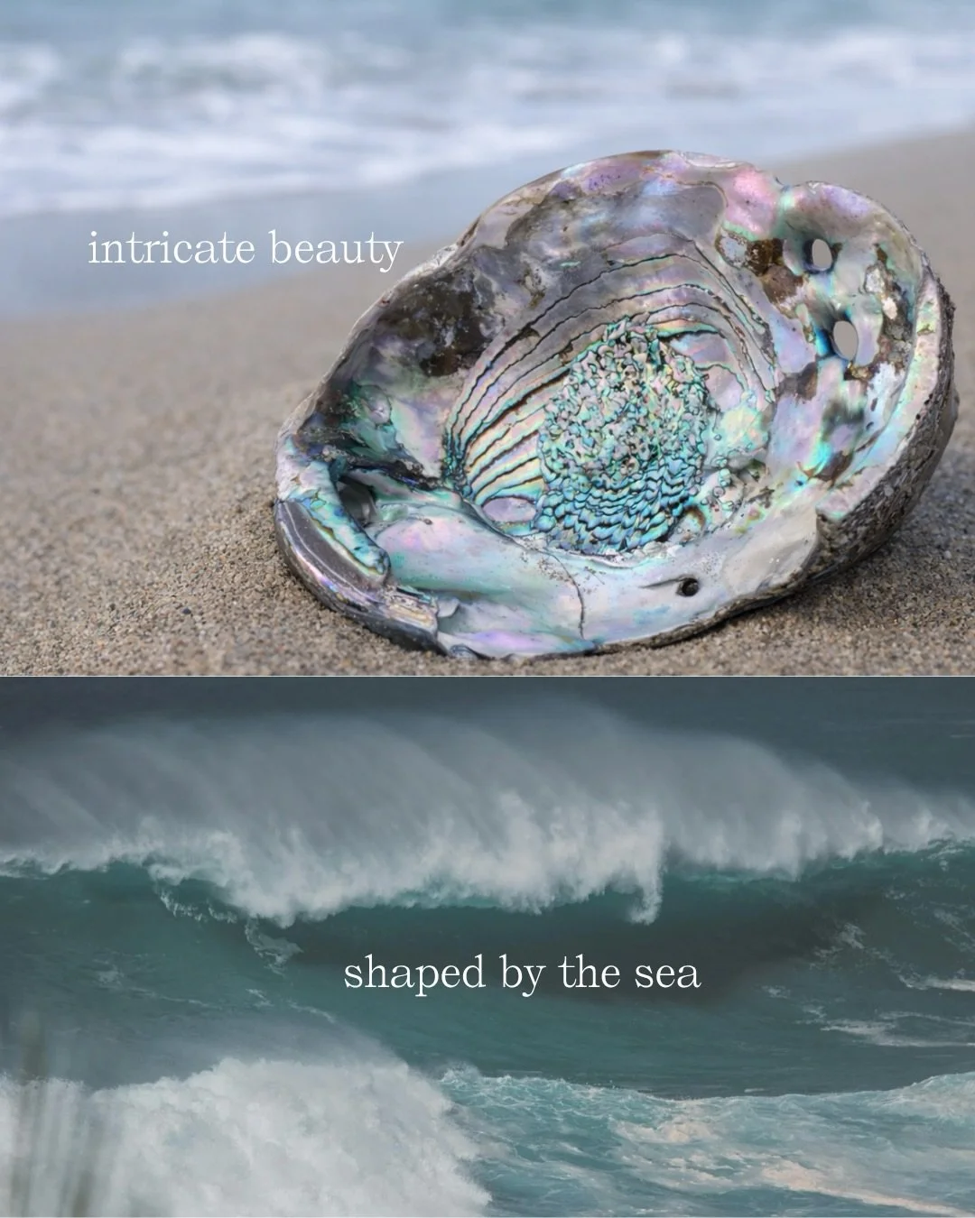 We are not disconnected from grief, we are disconnected from nature 🌱

And grief is nature.

It moves like waves. It feels foreign like seeing in the night. It breaks us open so something new can bloom.

Nothing in nature resists the cycle, why do w