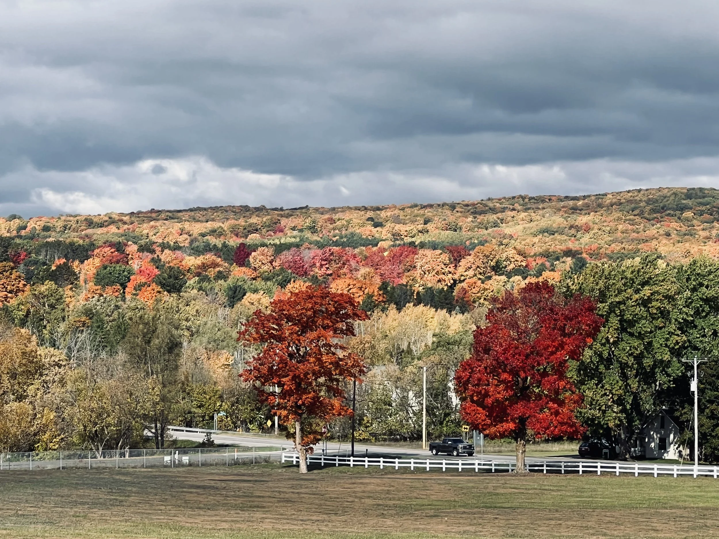 Fall Colors - Alanson, Michigan