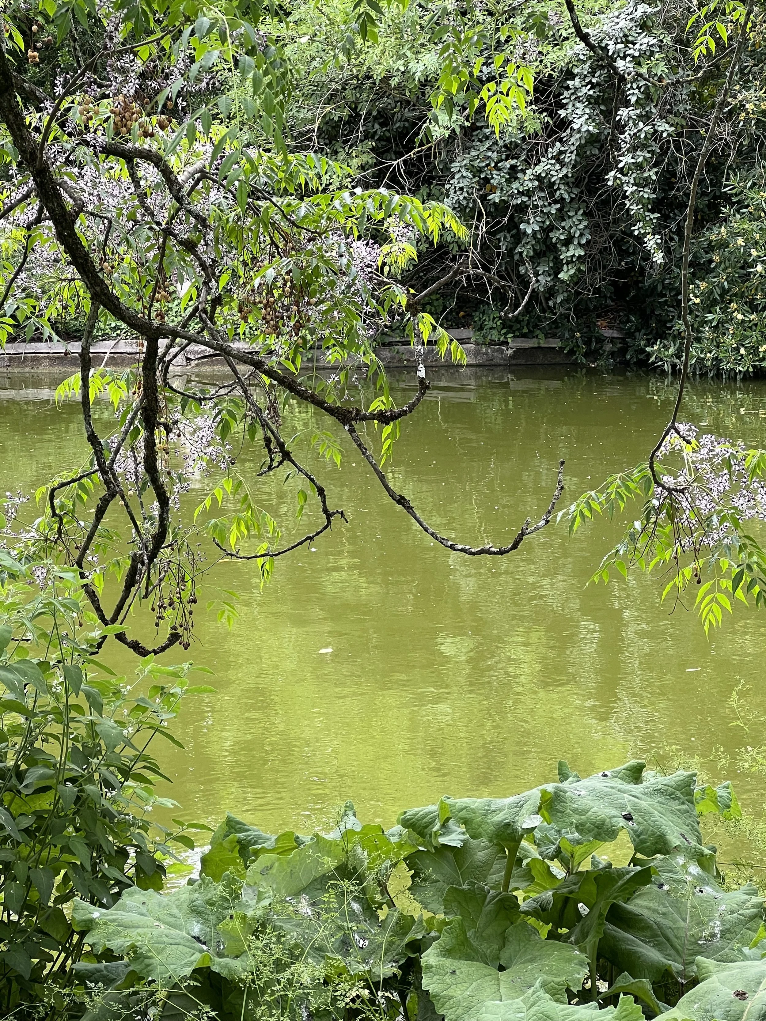 Monet's home garden in France