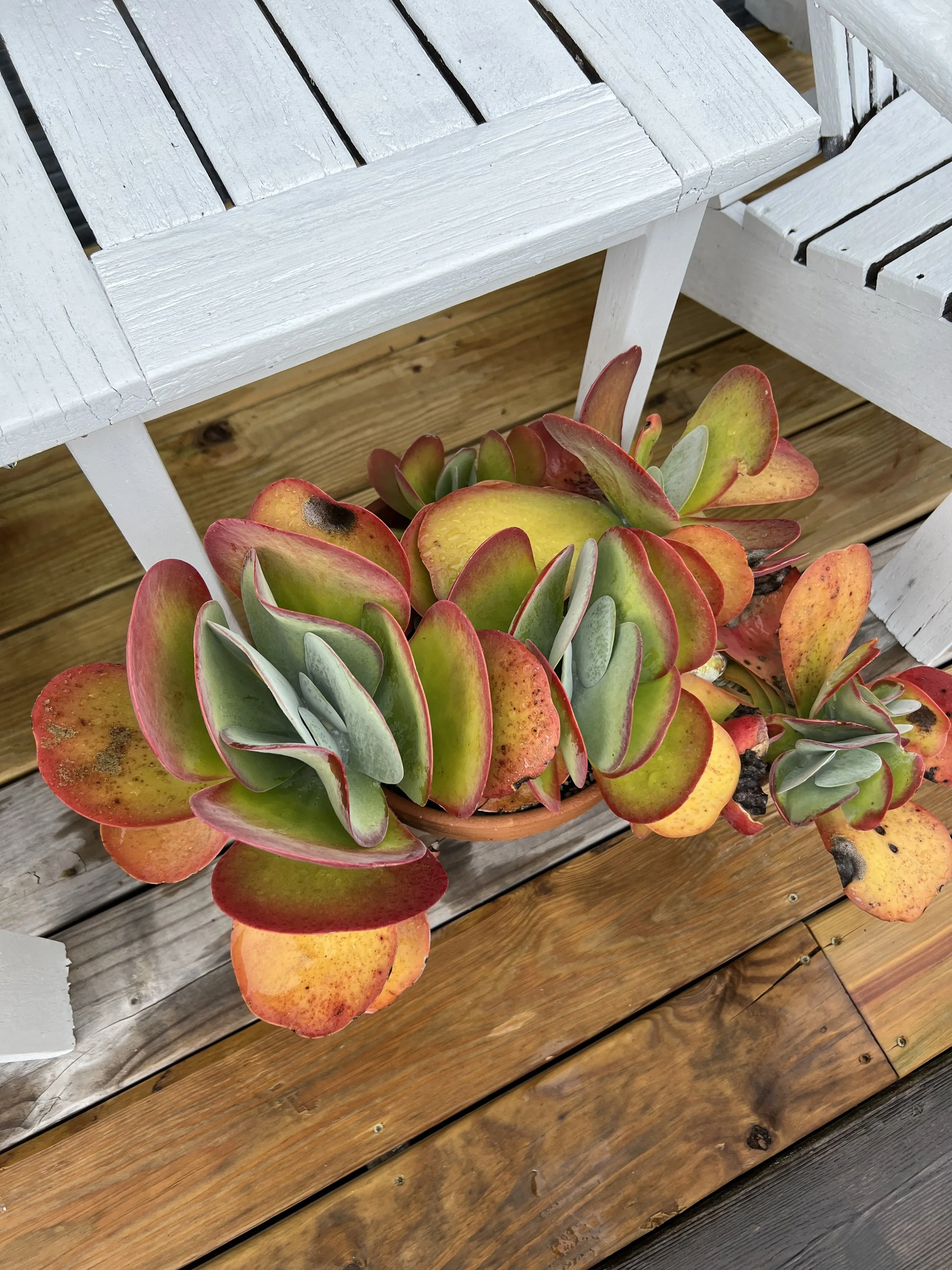 Farm Stay in Stoddard, New Hampshire