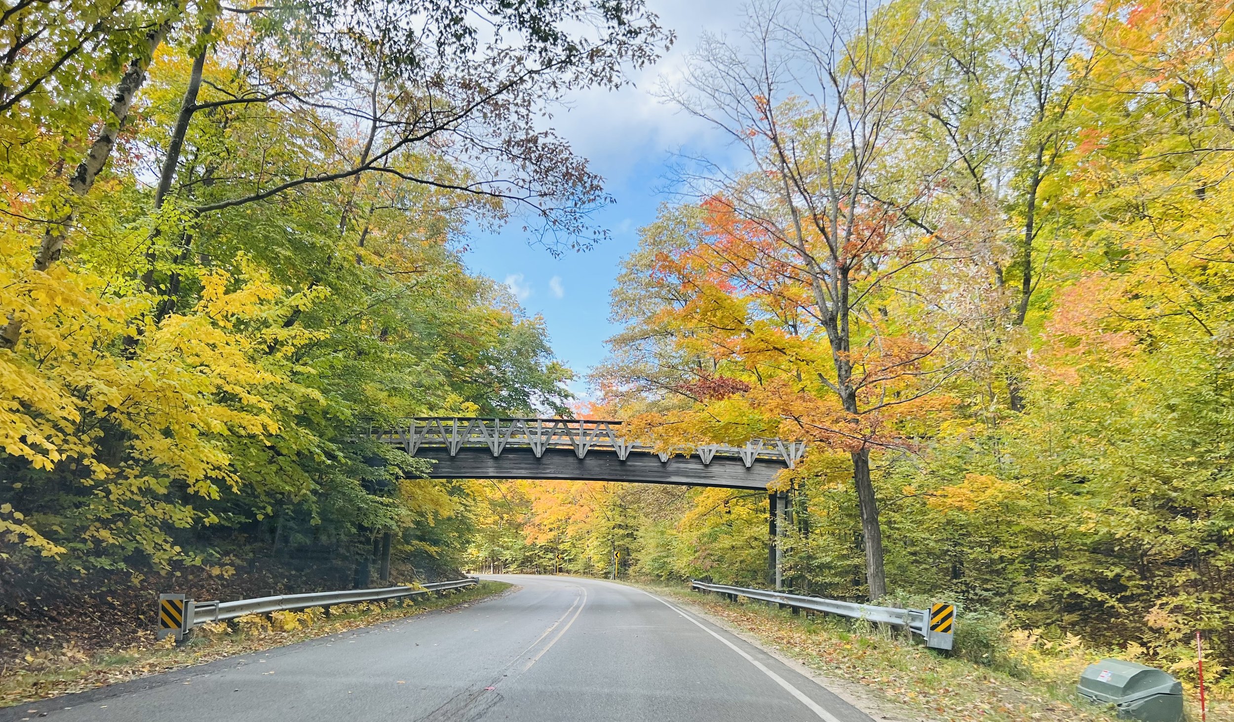 Fall Colors - Alanson, Michigan