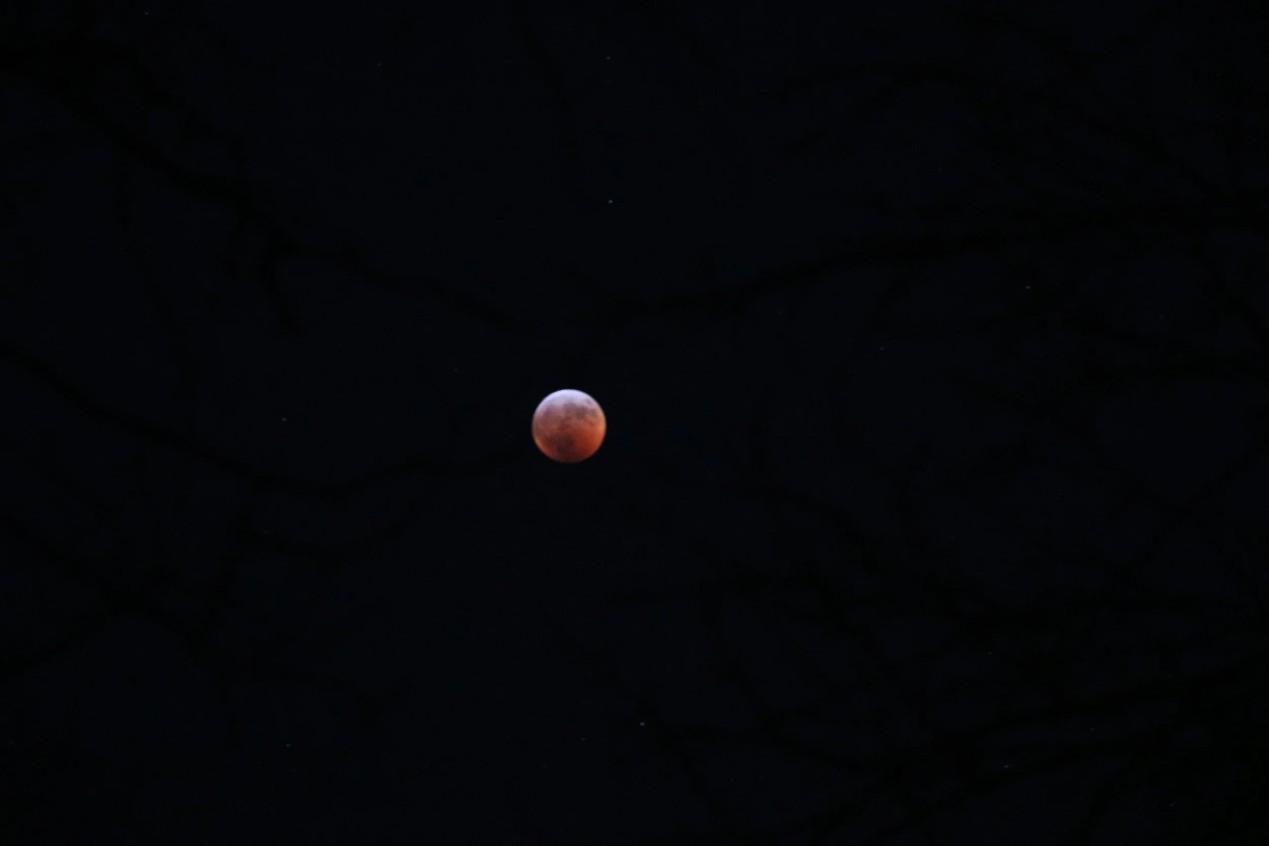 Michigan Blood Moon