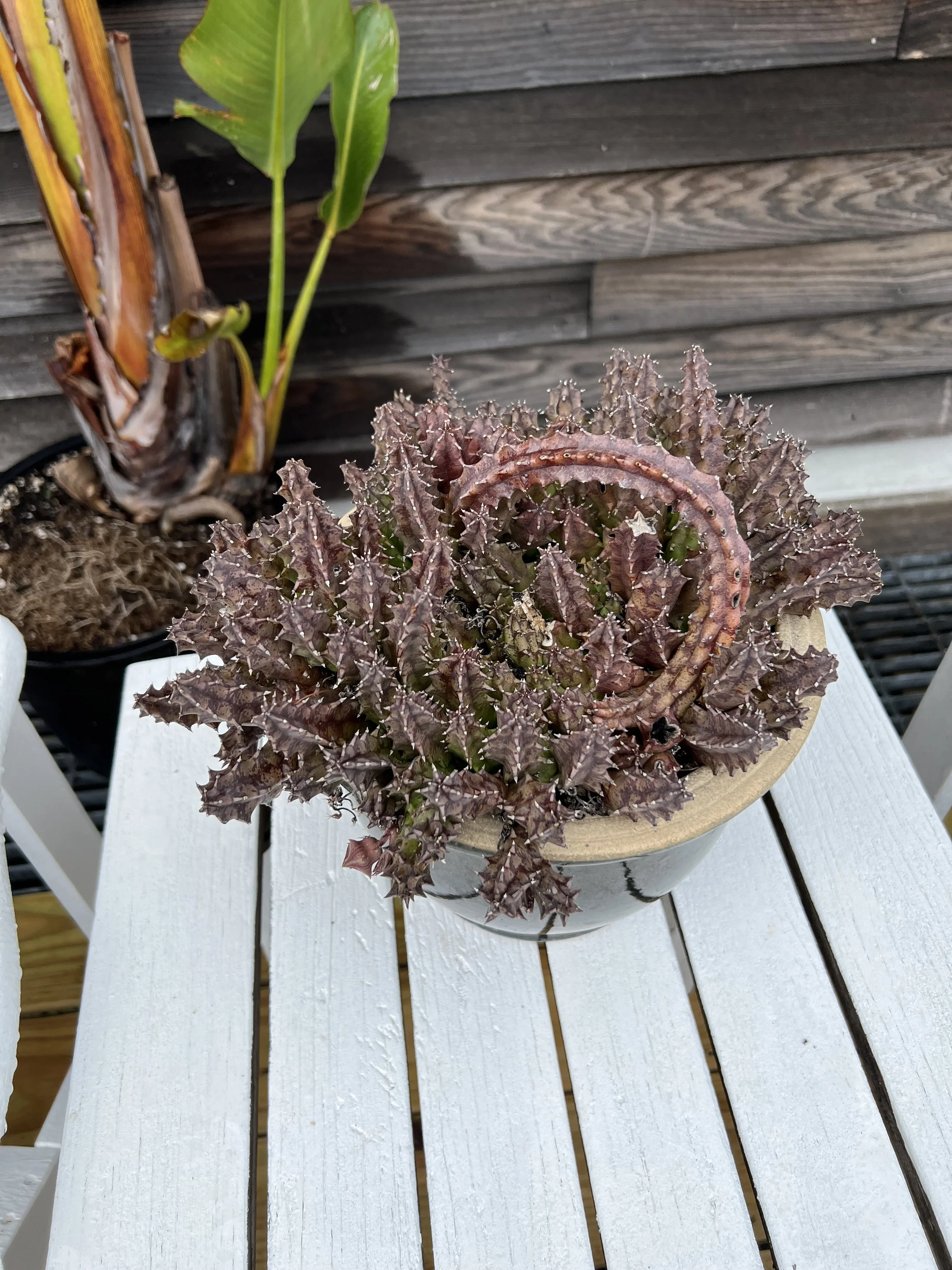 Farm Stay in Stoddard, New Hampshire