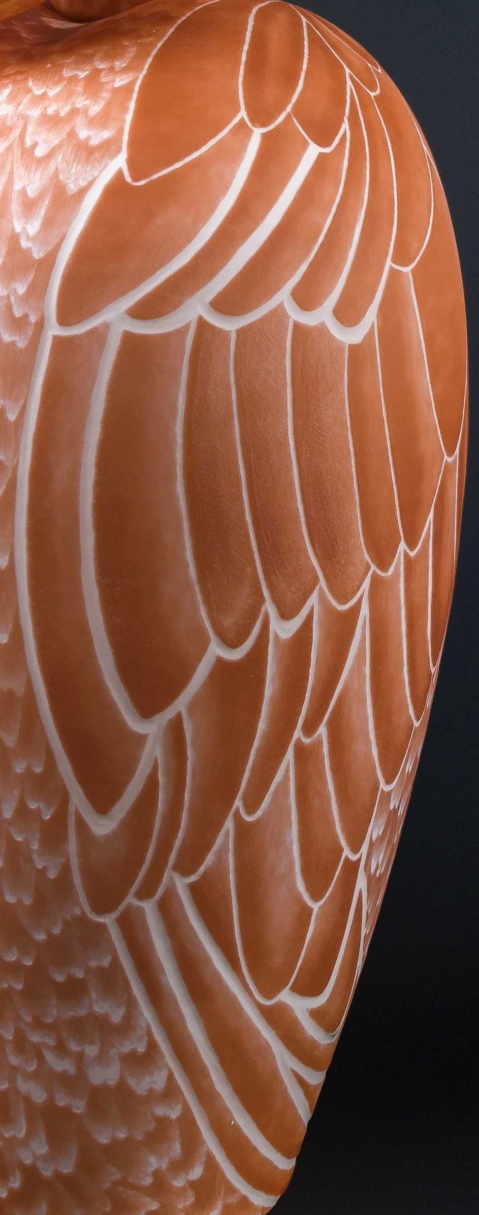 Flamingo wing detail.jpg