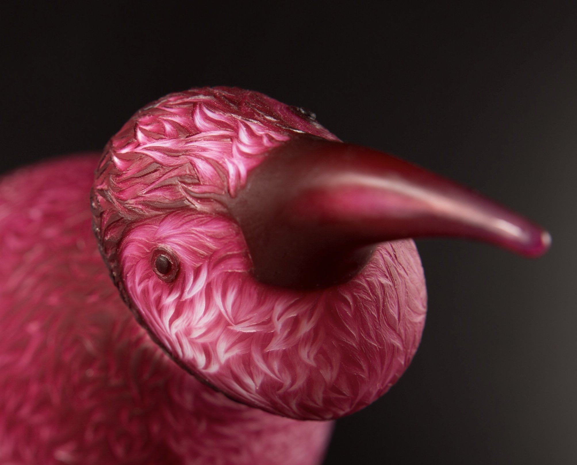 Honey Creeper head detail photography by Alec Miller.jpg