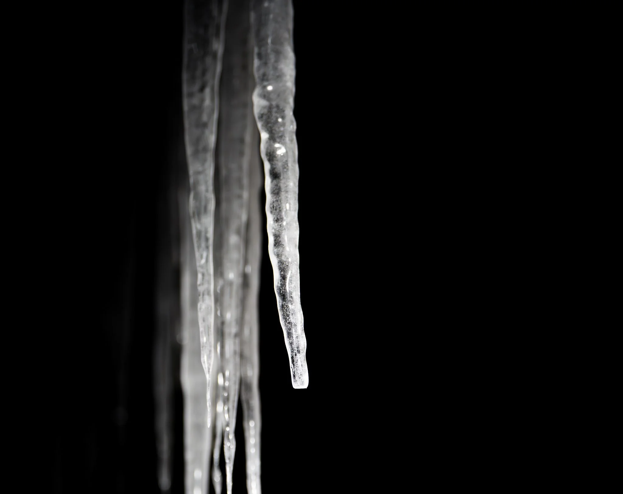 02-01-26-1.jpg