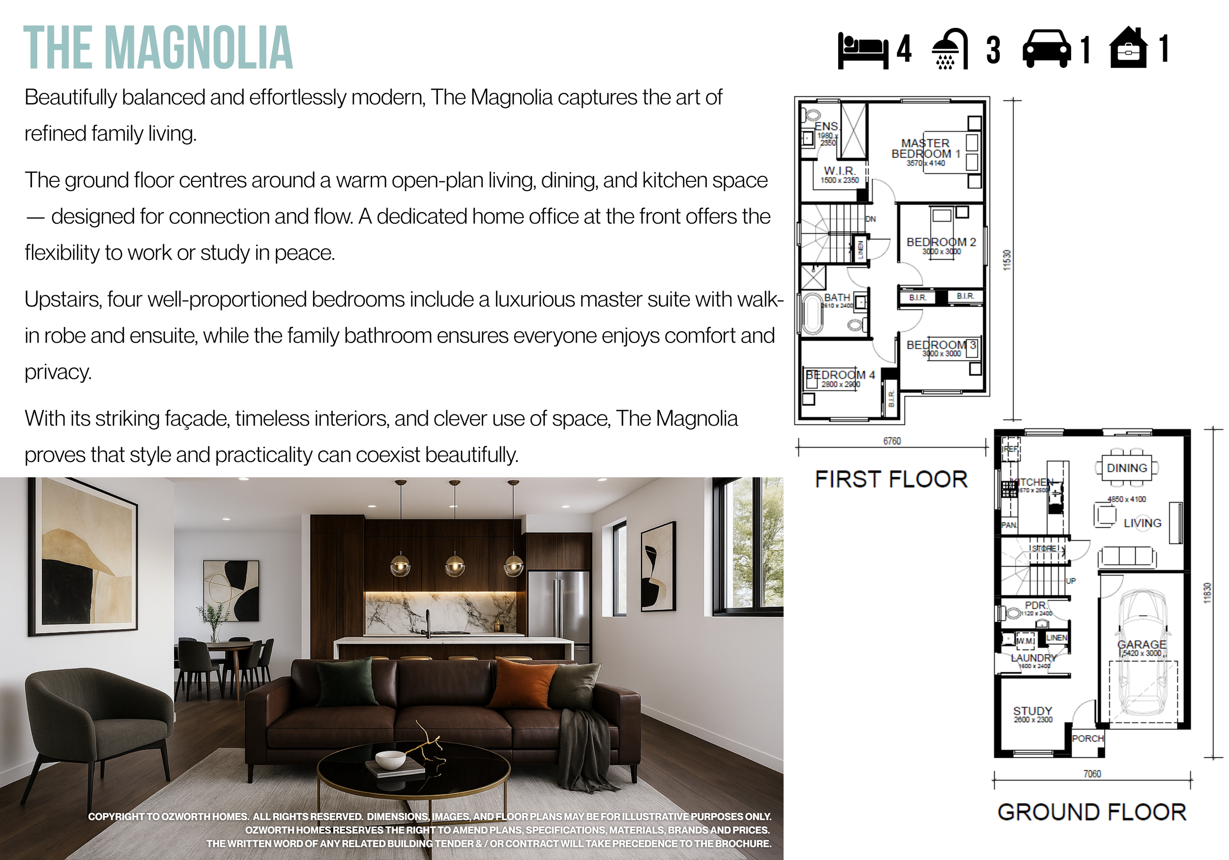 Magnolia
