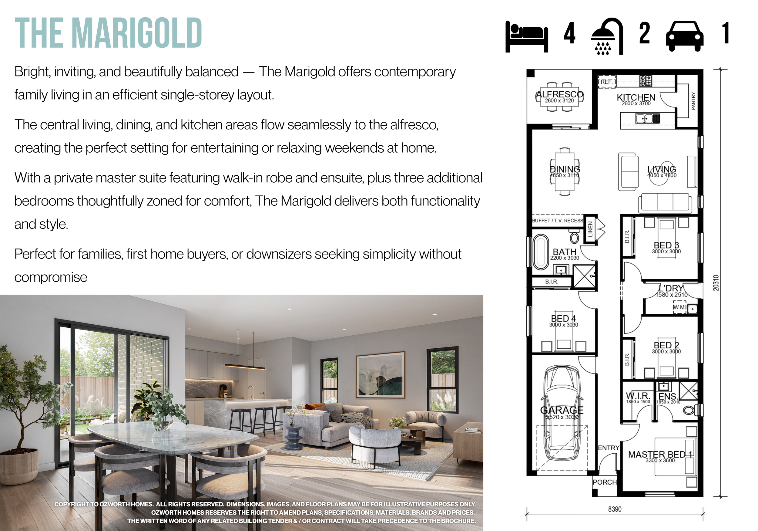 Marigold