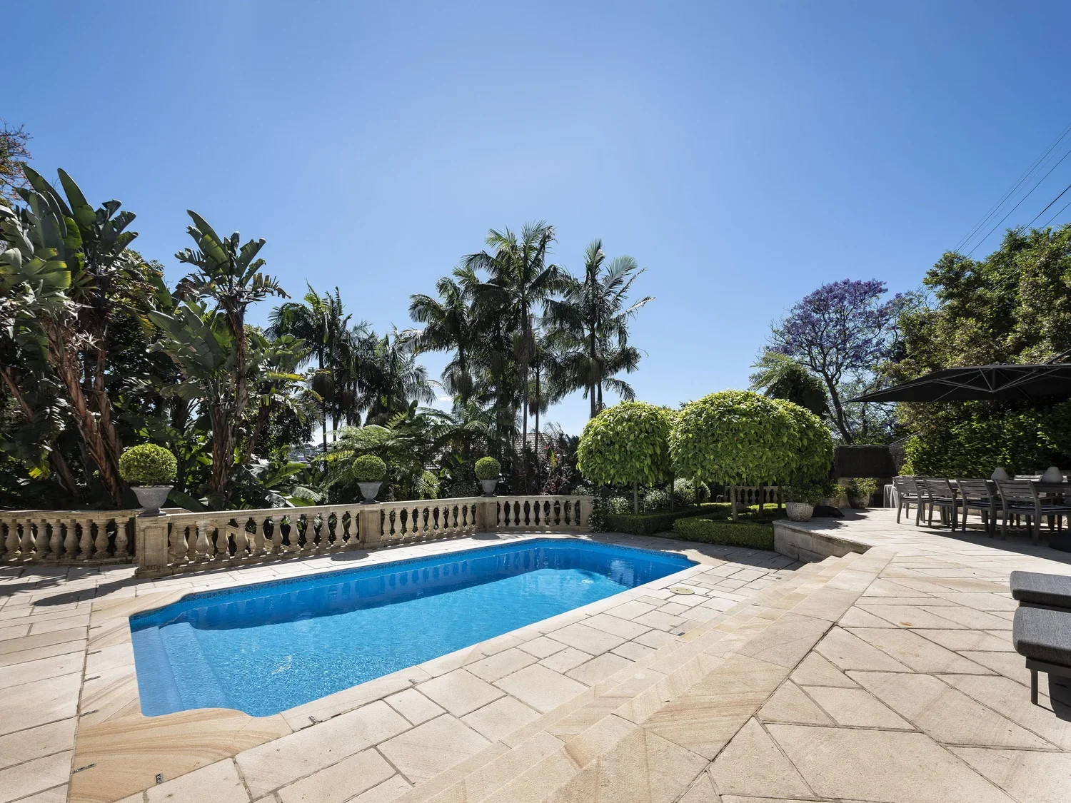 Backyard with a swimming pool, surrounded by lush green trees and plants, with blue sky overhead.