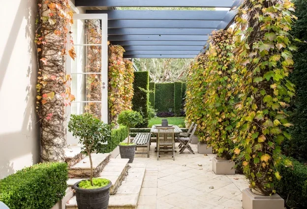 Outdoor patio with wooden table and chairs, surrounded by lush green and vine-covered walls, under a pergola with a blue roof.