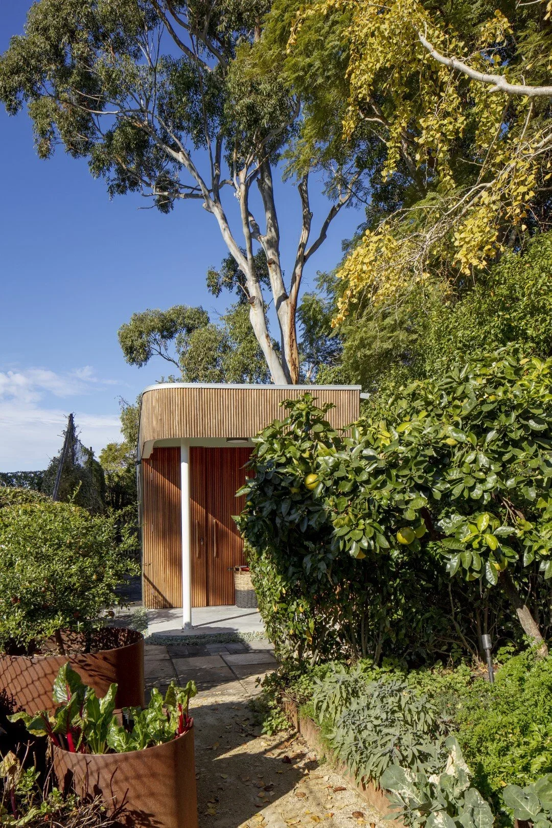 A modern wooden tiny house with a curved roof, nestled among green trees and plants in a garden under a clear blue sky.