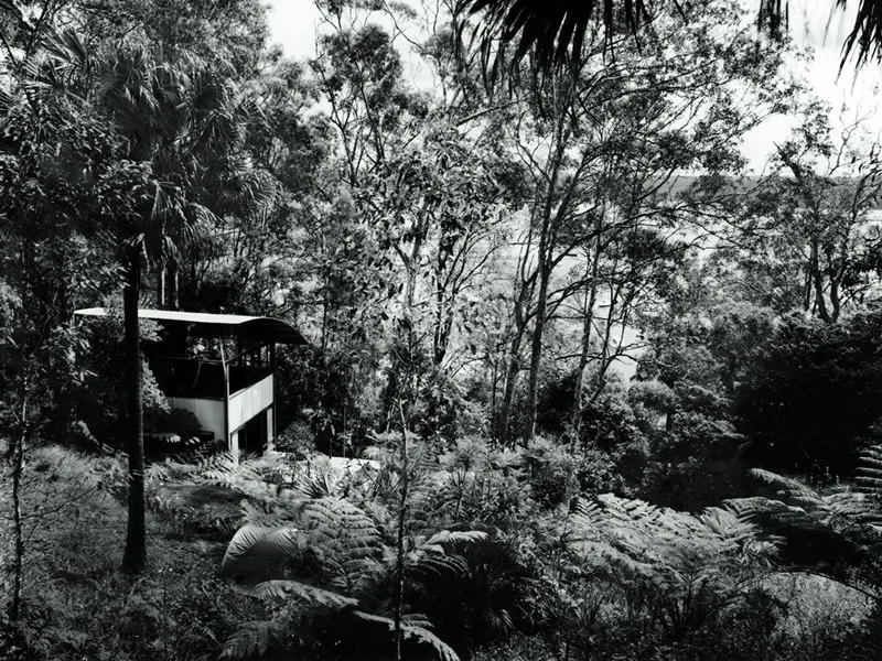 A black and white photo of a dense forest with a modern house partially visible on the left side among trees and foliage.