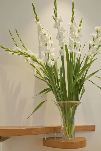White gladiolus flowers in a clear glass vase on a wooden surface.