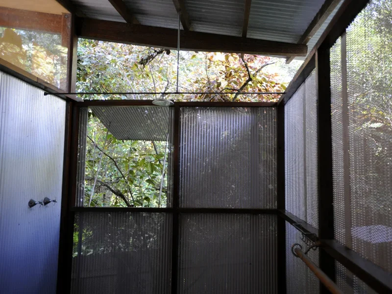 View of a screened porch or sunroom with corrugated metal panels, a ceiling fan, and a view of trees and foliage outside.