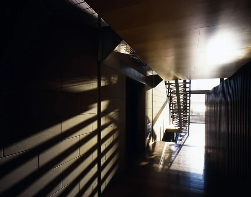 Sunlight streams through a window at the end of a corridor, casting shadows on the dark wall on the left and reflecting off the wooden floor. A modern staircase is visible near the window.