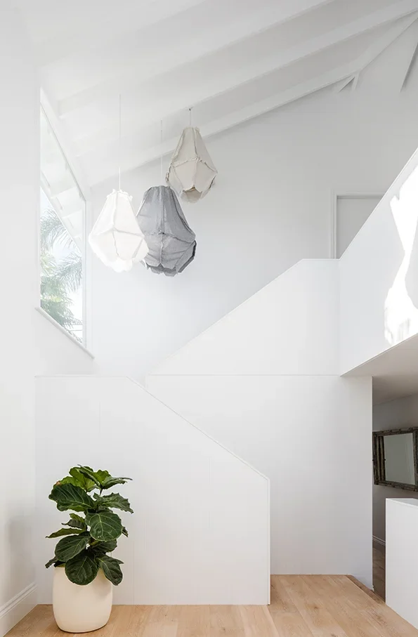 Interior of a modern home with white walls, wooden flooring, a large plant in a white pot, and four hanging pendant lights in cream, gray, and beige.