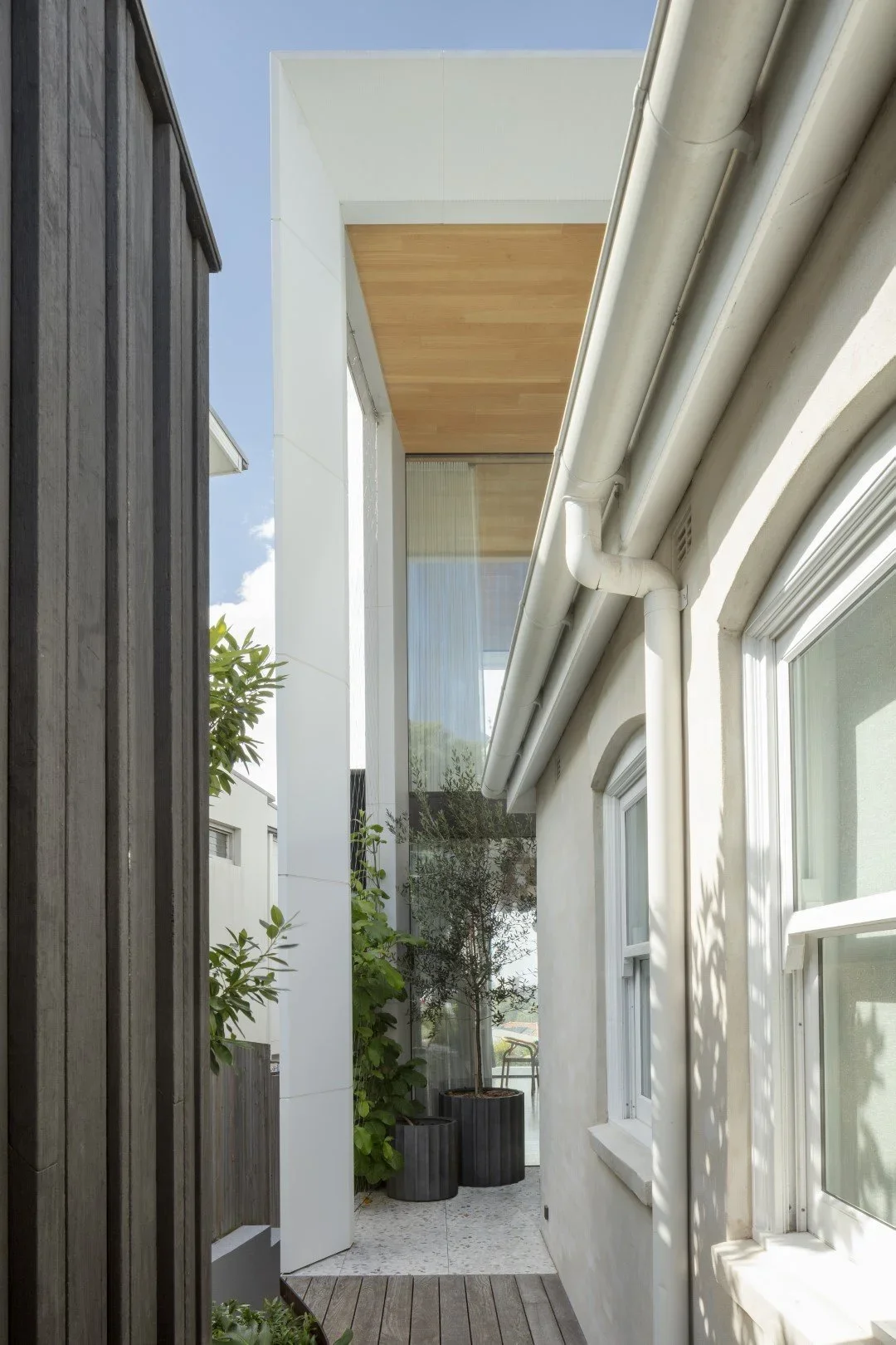 View of a narrow outdoor space between two buildings with greenery, potted plants, and a wooden deck under a clear blue sky.