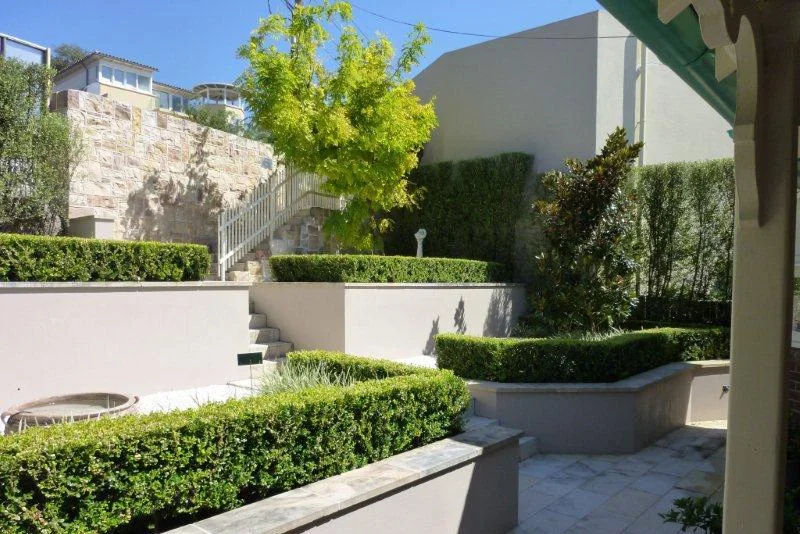 A landscaped backyard with neatly trimmed bushes, trees, and stairs leading to an upper level, with modern white concrete walls and a building in the background.