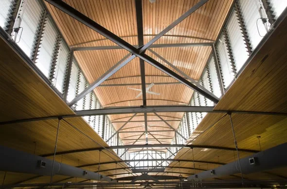 Ceiling view of a modern building with wooden panels and exposed metal beams, featuring large windows with vertical louvers.