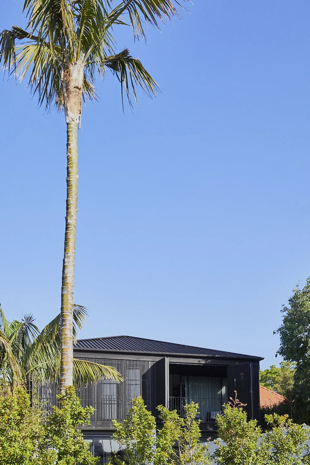 A modern black house with an open balcony, surrounded by palm trees, against a clear blue sky.