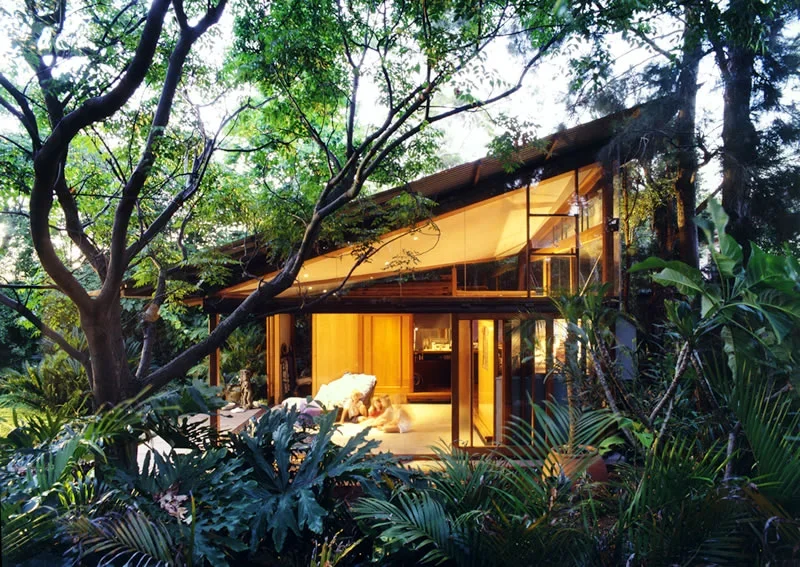 Modern house with large glass windows, surrounded by lush green trees and tropical plants, illuminated from within during dusk.