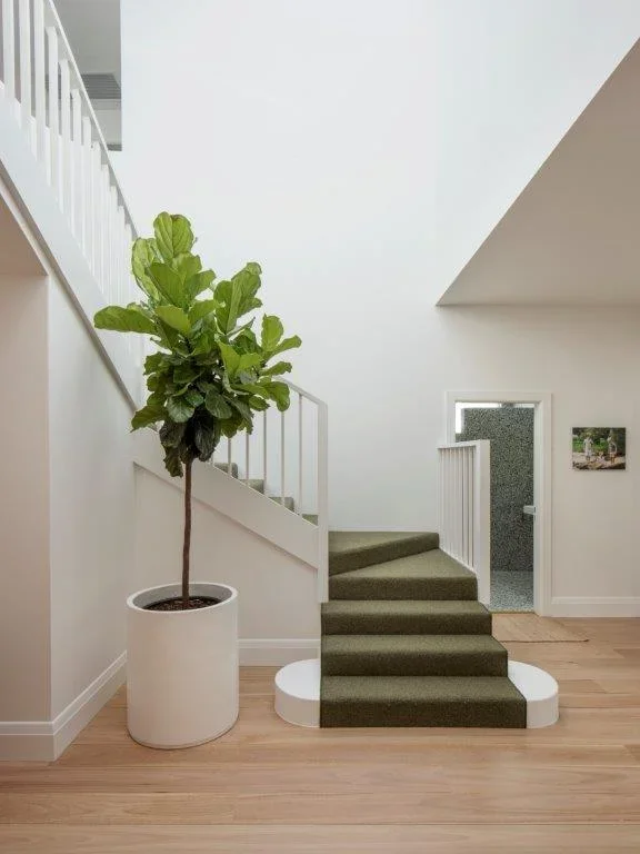 Interior image of a staircase with green carpet, a large potted plant with green leaves, white walls, and a small room visible through a door.