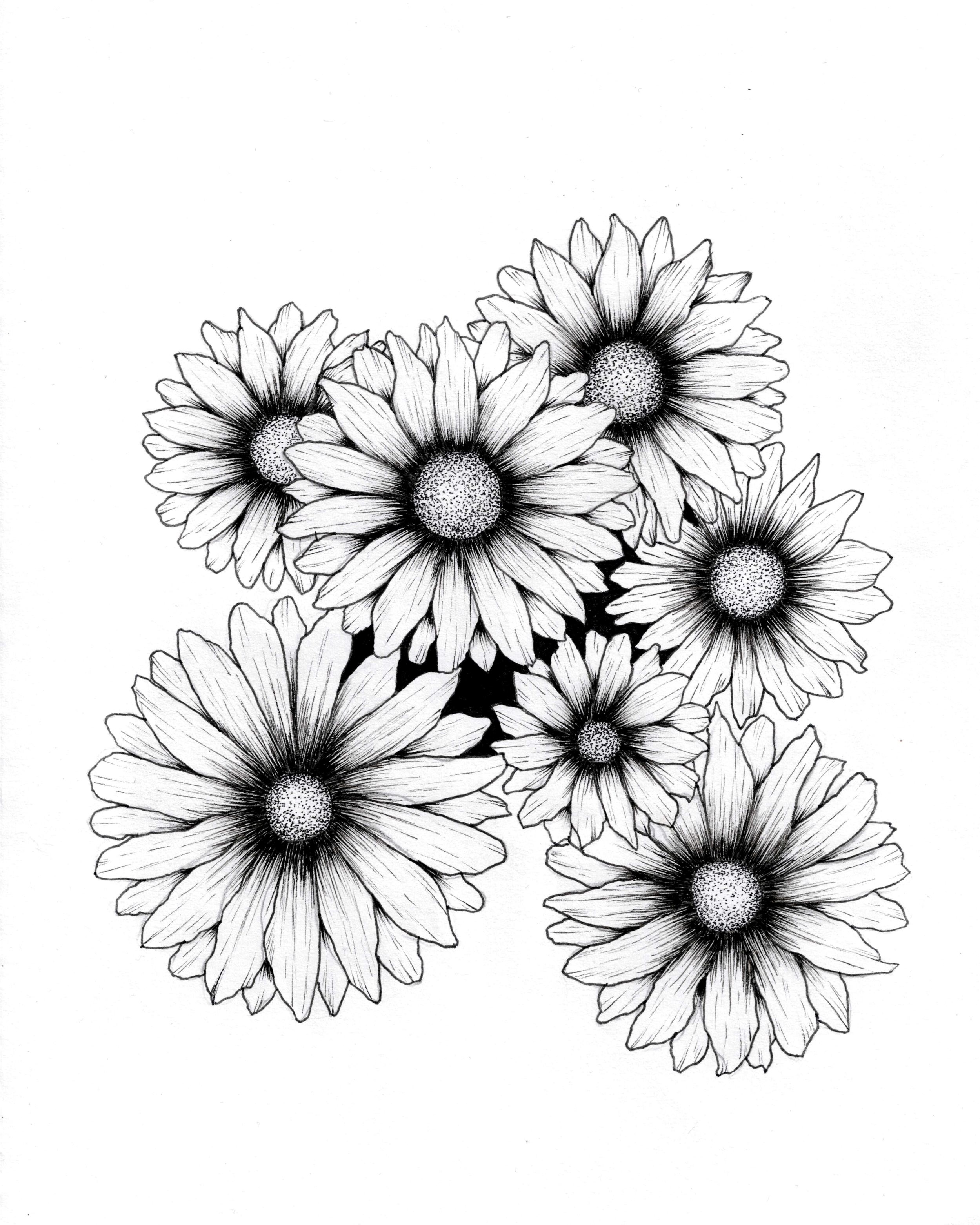 A Place to Bloom