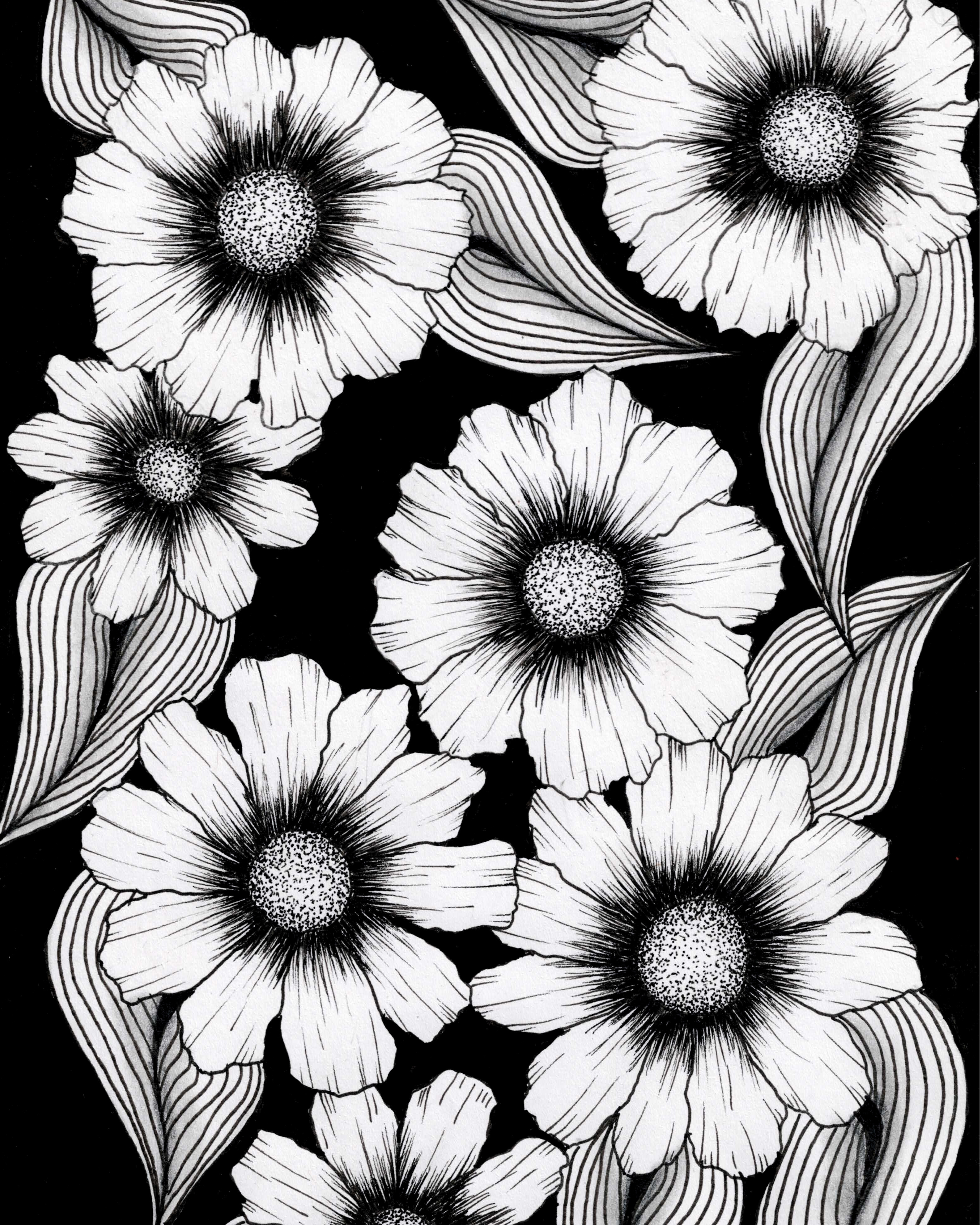 Shadow and Bloom