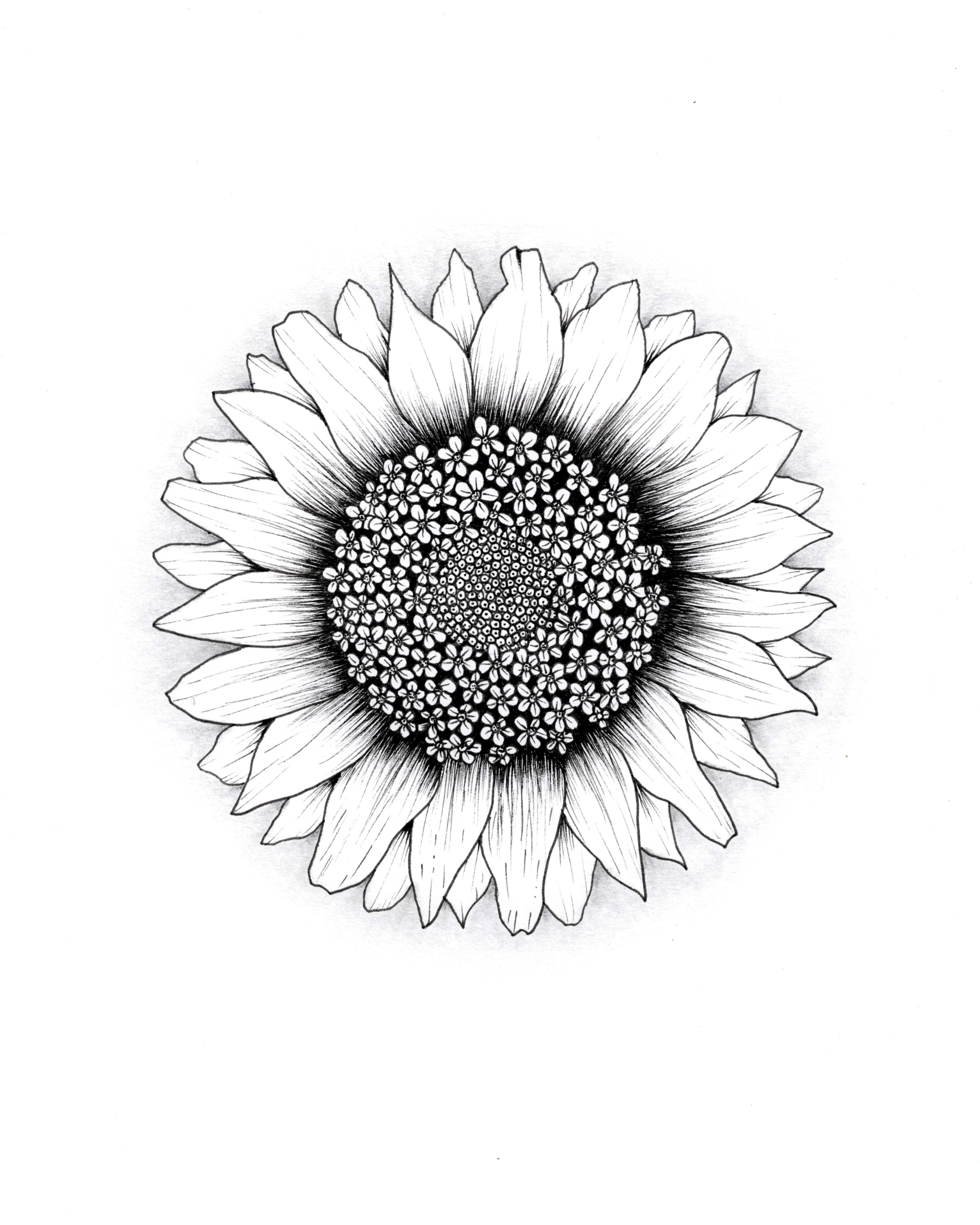 Bloomin' Plenty