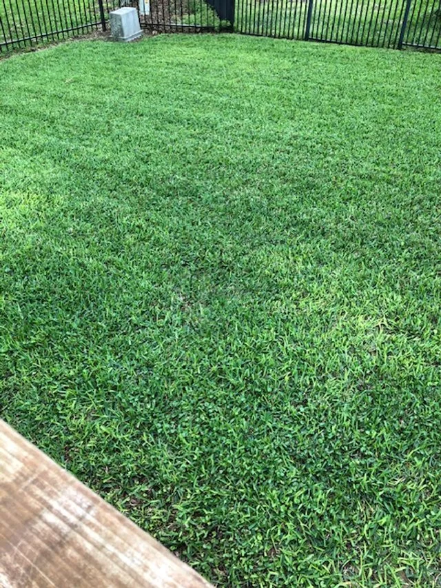 A backyard with a freshly mowed green lawn, a black metal fence, and a small white utility box in the corner.