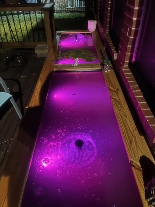Outdoor wooden table with two water features illuminated by purple lights, one with floating leaves, next to a brick wall and a purple curtain.