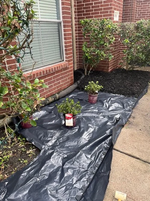 Garden bed with black landscape fabric, potted plants, and shrubs beside a brick house window, with freshly mulched area.