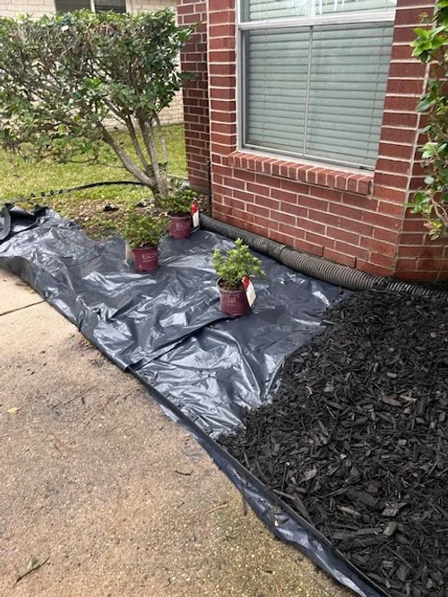 Garden bed with black mulch, three potted plants on a black plastic sheet, next to a brick house with a window and a large tree nearby.