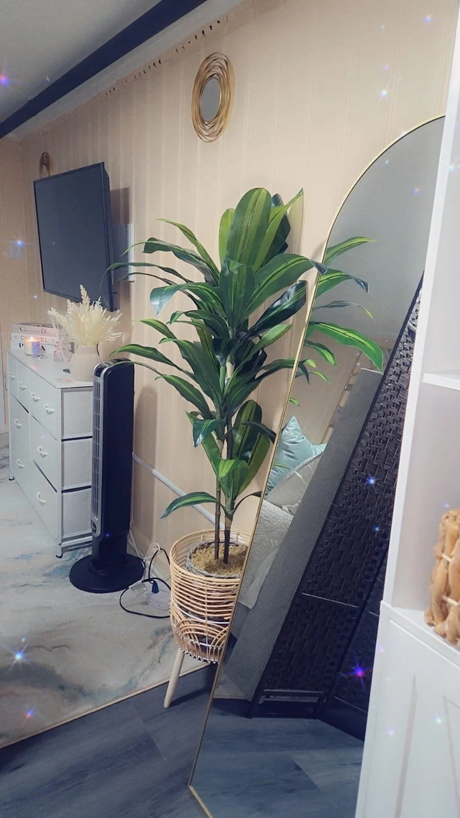 Indoor living space with a large potted green plant, seen via a tilted mirror, with a white dresser topped with decorative items, a flat-screen TV, and a black tower fan. Light-colored walls and hardwood floor visible.