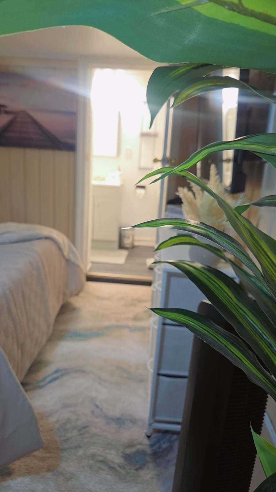 A close-up of green indoor plant leaves with a blurred bedroom and a bright doorway in the background.