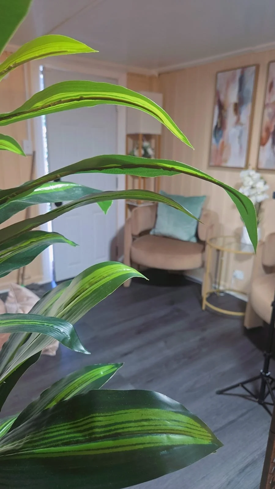 Close-up of green houseplant leaves with a living room in the background, featuring beige couches, light wooden furniture, and framed artwork on the wall.