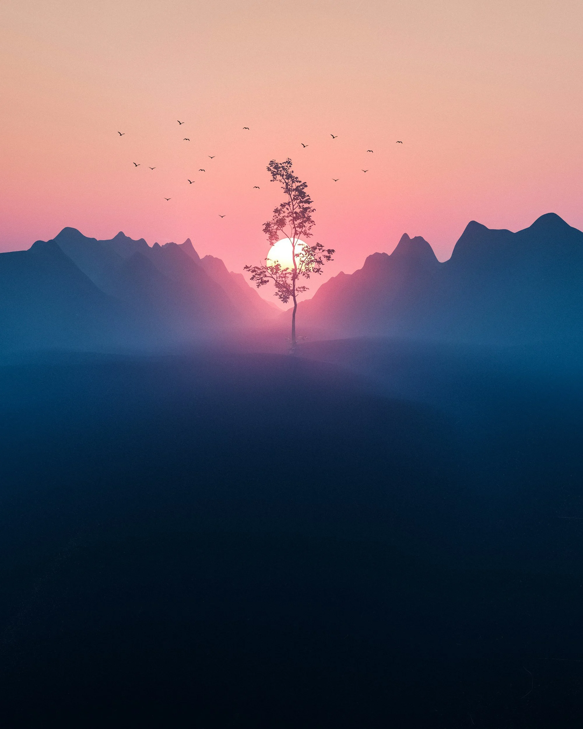 Welcome to the Universal 1 Year ✨