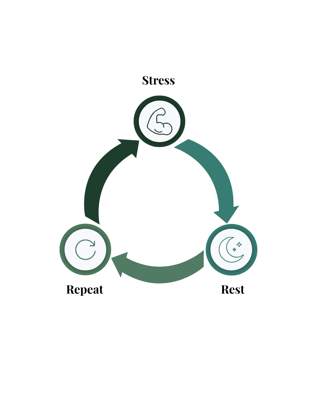Stress, Rest, Repeat: How Runners Build Strength and Avoid Burnout