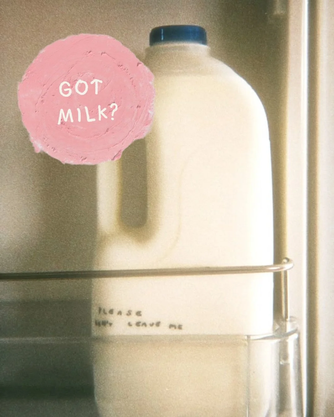 MILK I RECOMMEND AS A CLINICAL NUTRITIONIST. 
Milk choice or a personality trait? Milk can quite quickly become a significant contributor to your daily intake and if you&rsquo;re working or your hormone or gut health it&rsquo;s worth getting this rig