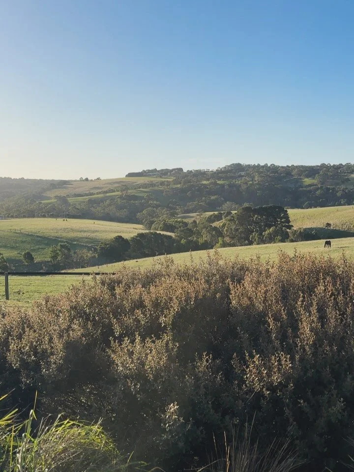 A slow long weekend reset (animals + eating)