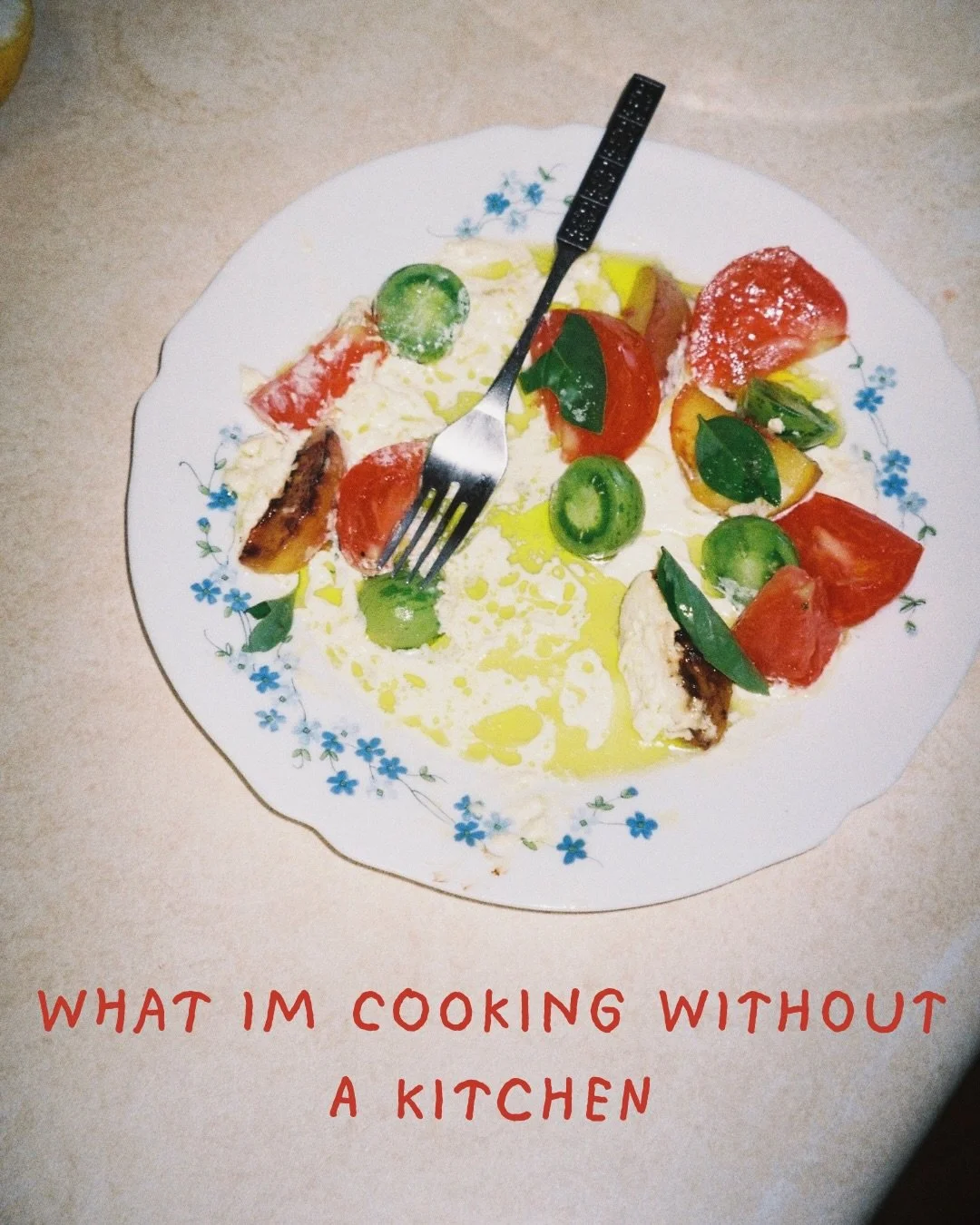 WHAT I HAVE BEEN COOKING WITHOUT A KITCHEN AS A NUTRITIONIST THAT PRIORITIES GUT HEALTH AND DAILY BOWEL MOVEMENTS. #clinicalnutritionist #holistic #guthealth #saveforlater