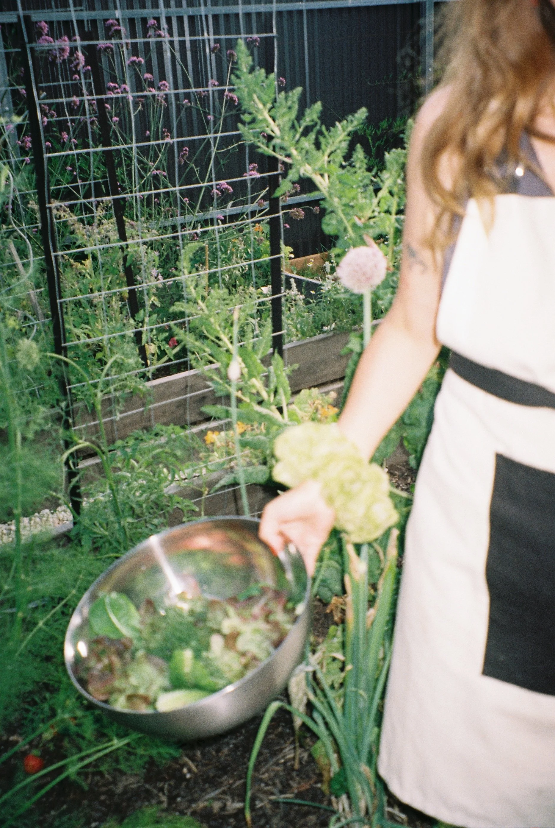 A004604-R1-07-9 (1).JPG