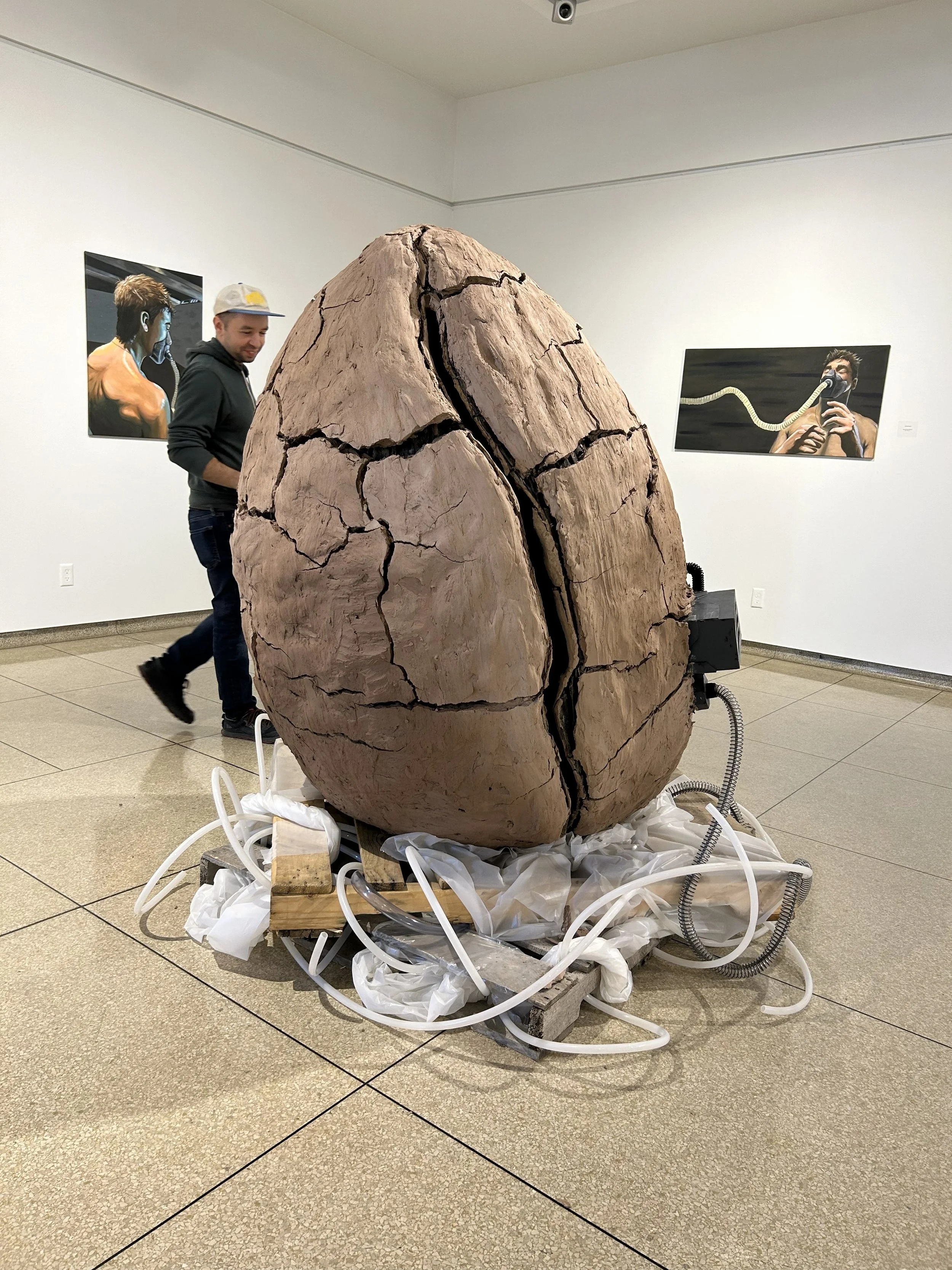 Shell with person.jpeg