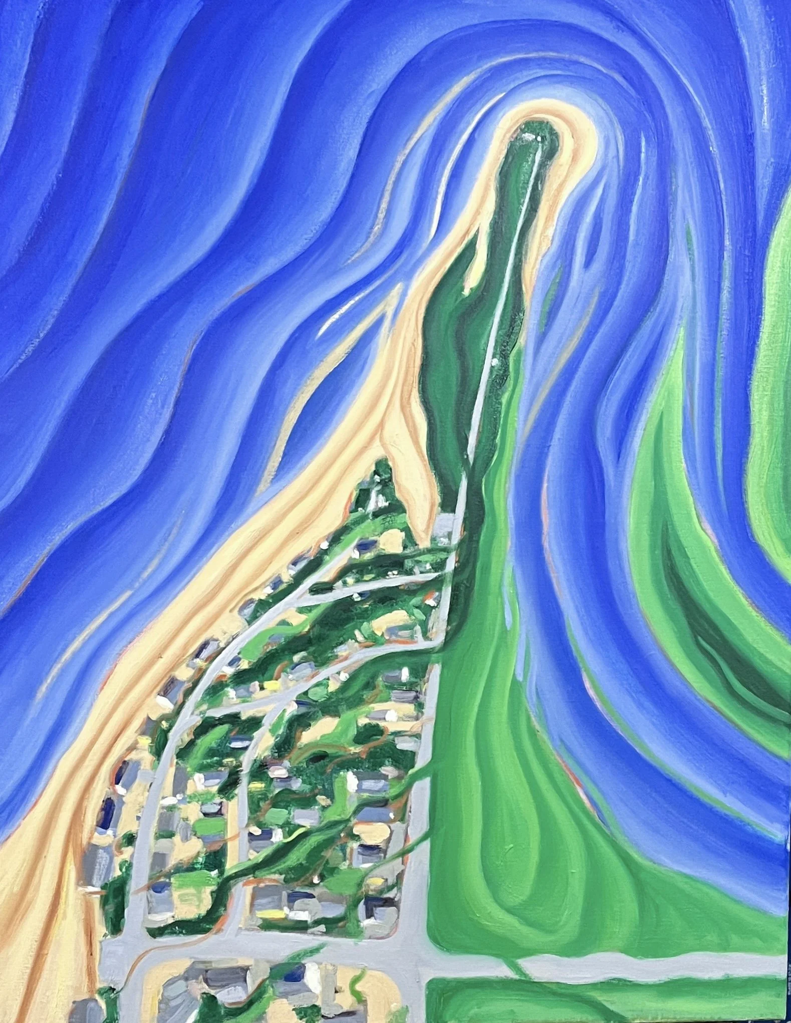 24 x 30  Plum Island Contours
