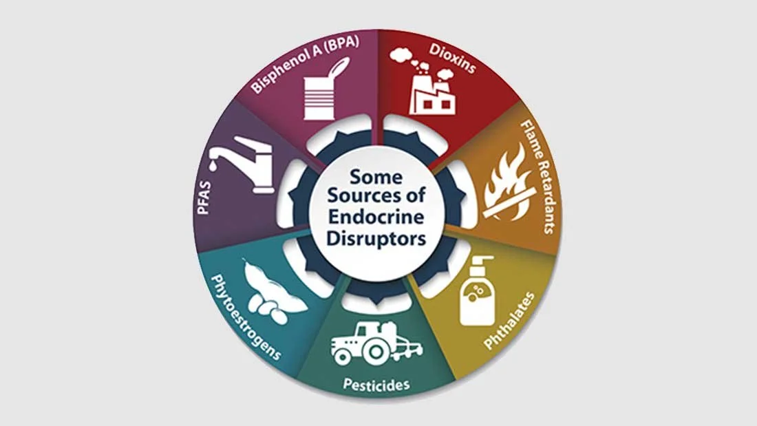 Endocrine Disruptors: What You Need to Know