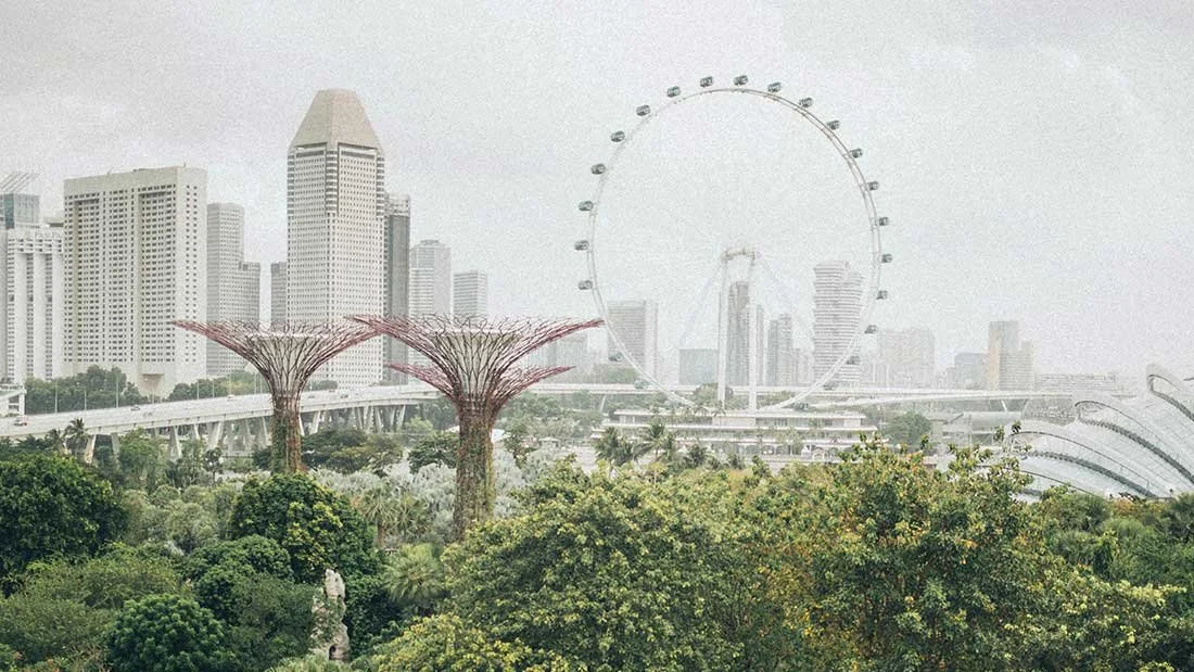 Supporting Your body During Air Pollution Exposure