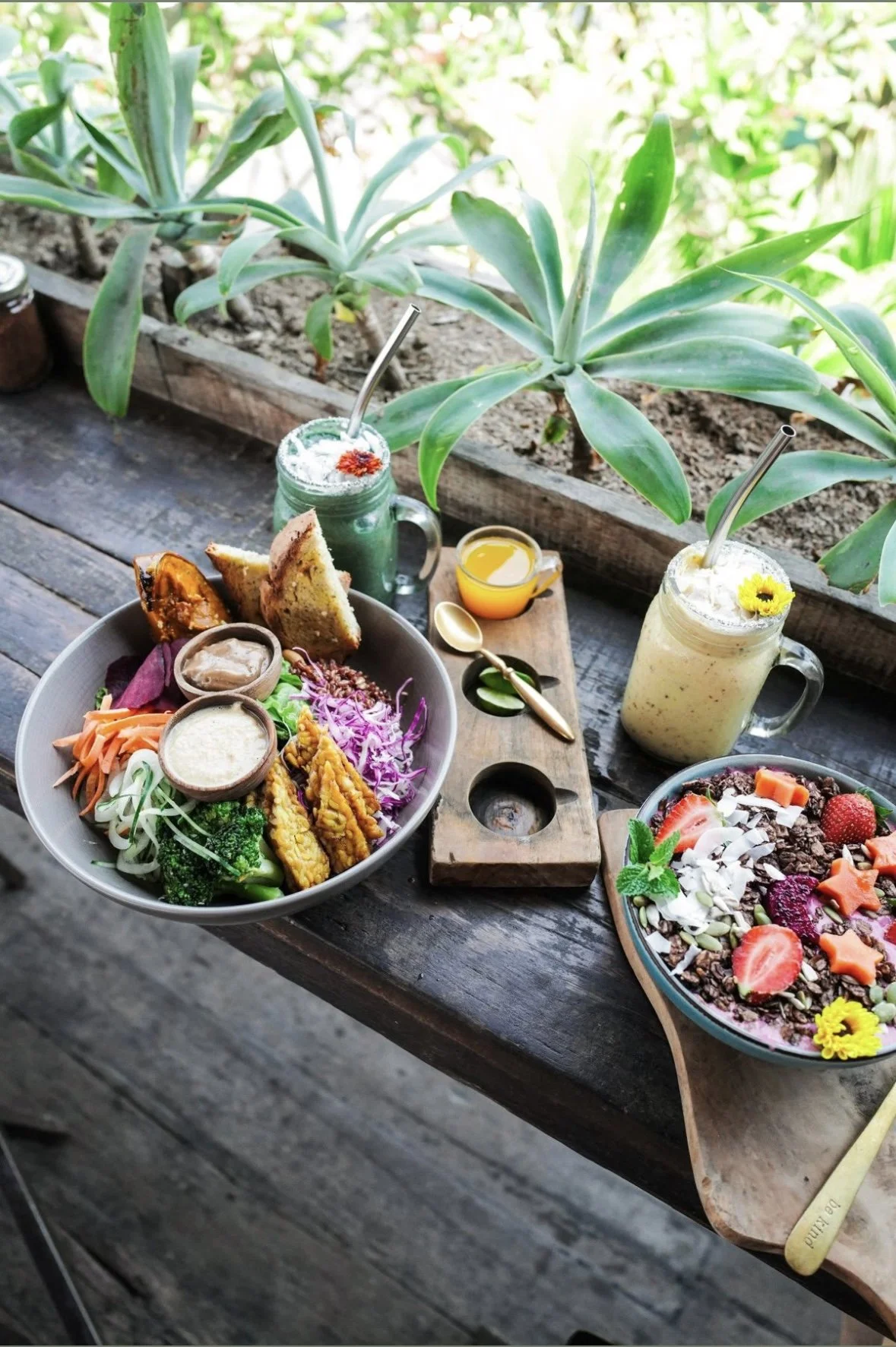 A colorful spread of food and drinks on a rustic wooden table, featuring a large salad with vegetables, grilled bread, and dressings, alongside two smoothies or shakes topped with flowers, and a bowl of chocolate granola with strawberries, laid out with a planter filled with green leafy plants in the background.
