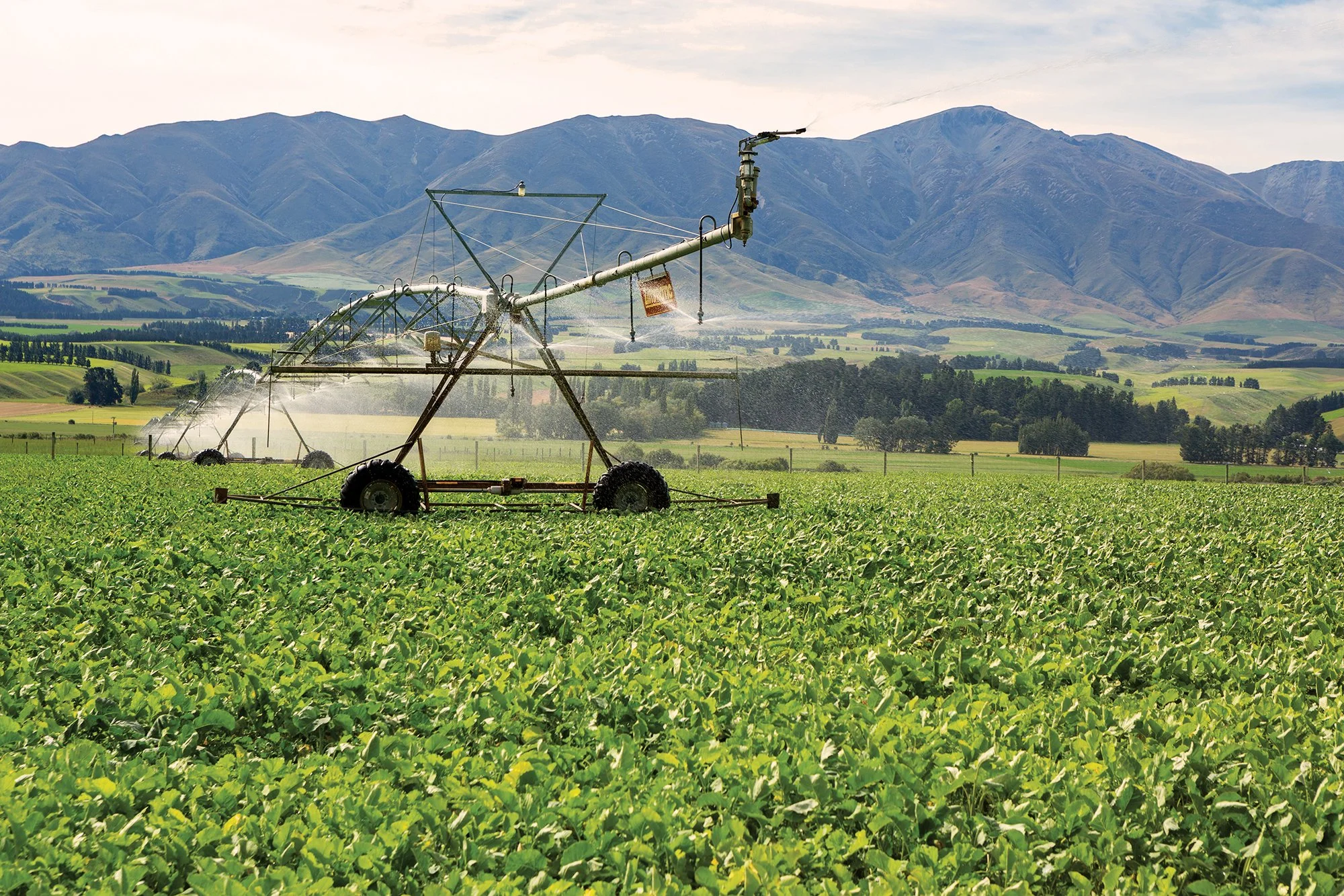 Foveran Irrigation_1_2000 adj.jpg