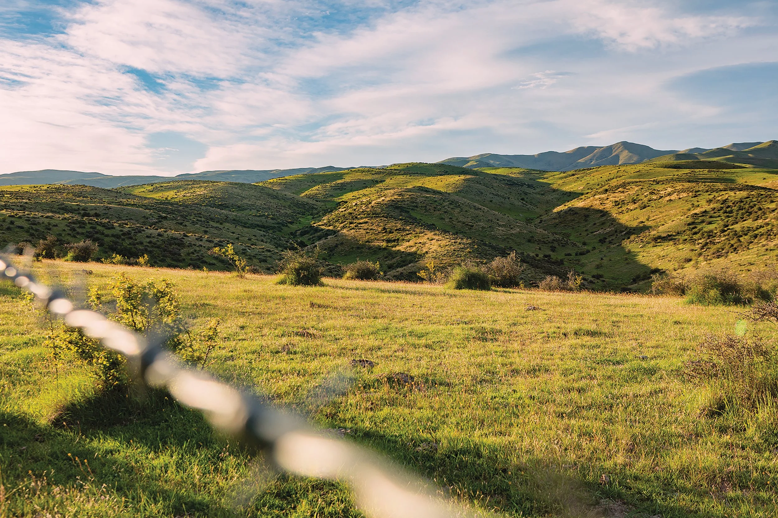 Foveran_6_2000 adj.jpg