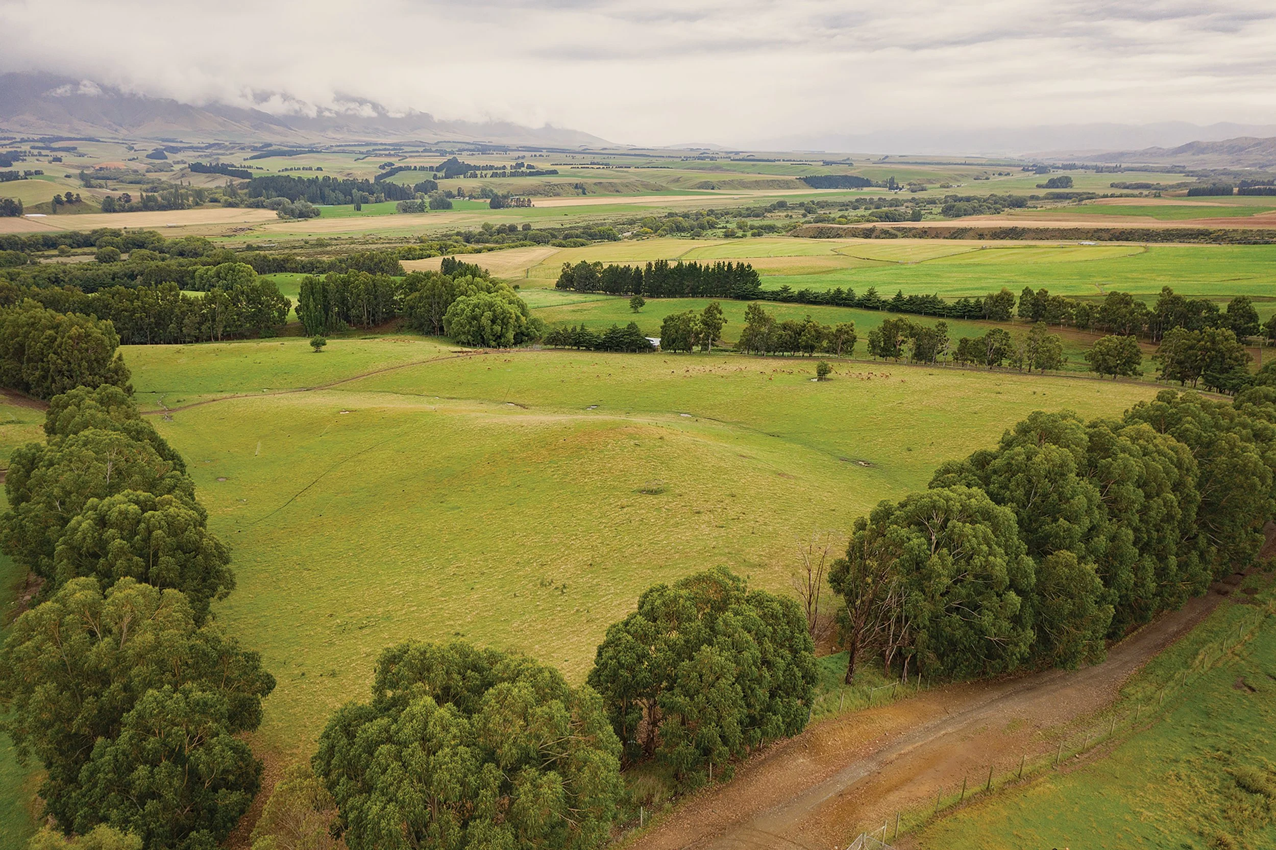 Foveran_17_2000 adj.jpg